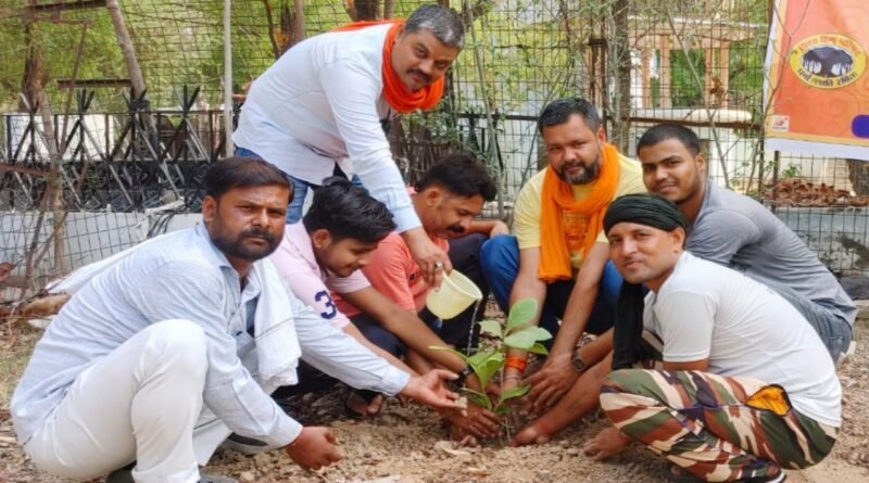 service work; Bajrangis planted saplings in Datagarhi Ashram of Rath
