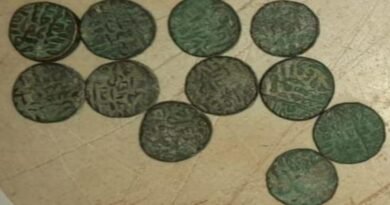 11 coins of Mughal era found by the shepherd in Hamirpur