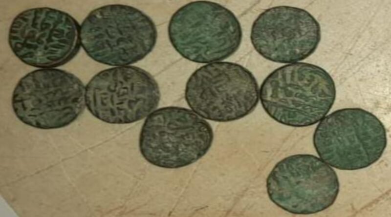 11 coins of Mughal era found by the shepherd in Hamirpur