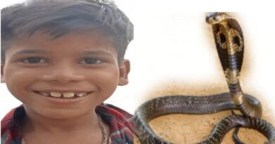10 year old boy dies due to snake bite