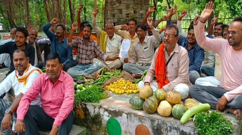 In Rath tehsil vegetable dealers demonstrated by keeping vegetables