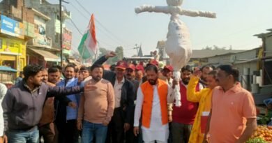 Hindu youth organization and ex-servicemen council burnt the effigy of Bangladesh