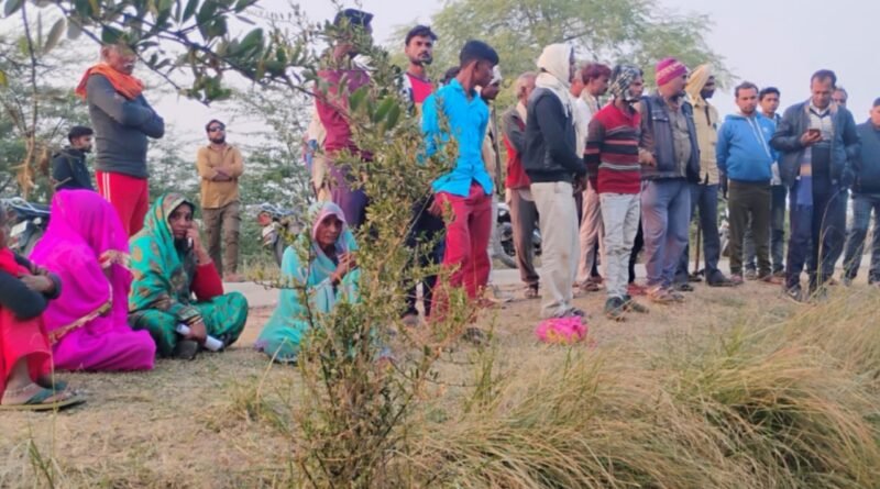 Two buffaloes died due to electrocution after a high tension line broke and fell