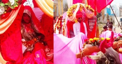 The bride departed on a bullock cart and the groom held the reins of the bulls