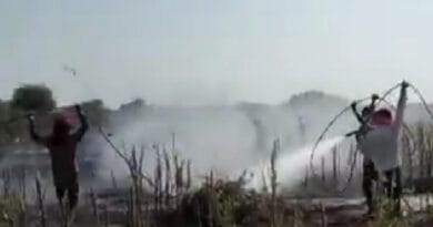 Hamirpur: Fire broke out in the pigeon pea crop kept in the field, loss of 1.5 lakhs