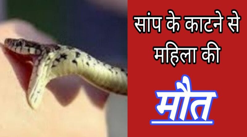 Hamirpur: Woman bitten by snake, dies during treatment