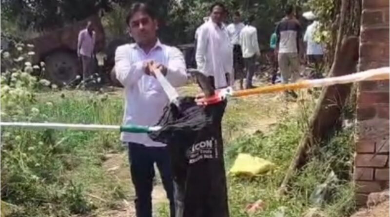 Black cobra bites villager: Black cobra fainted after biting a man, caught by forest department