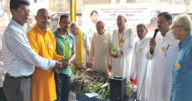 Balkrishna Birthday Herb Day medicinal plants distributed