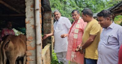 Gau seva on birthday: Birthday of BJP's state general secretary celebrated