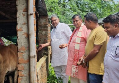 Gau seva on birthday: Birthday of BJP's state general secretary celebrated