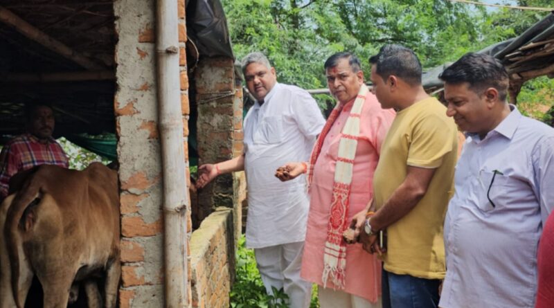 Gau seva on birthday: Birthday of BJP's state general secretary celebrated