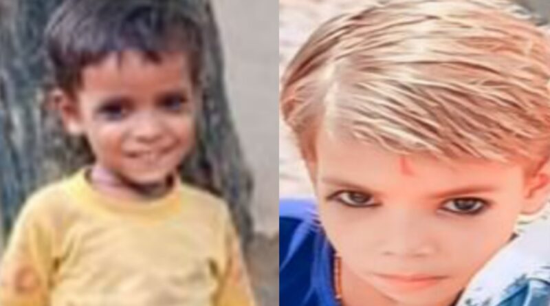 hamirpur two children died snake bite no house